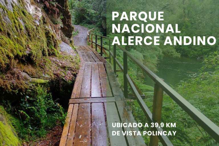 Entorno - Parque Nacional Alerce Andino
